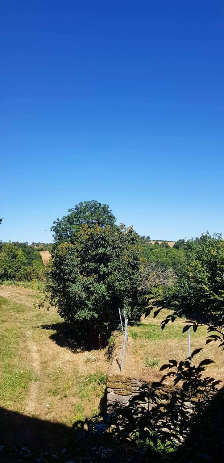 Day, Natural landscape, View (from property/room), View (from property/room), Garden view, Garden view, Inner courtyard view