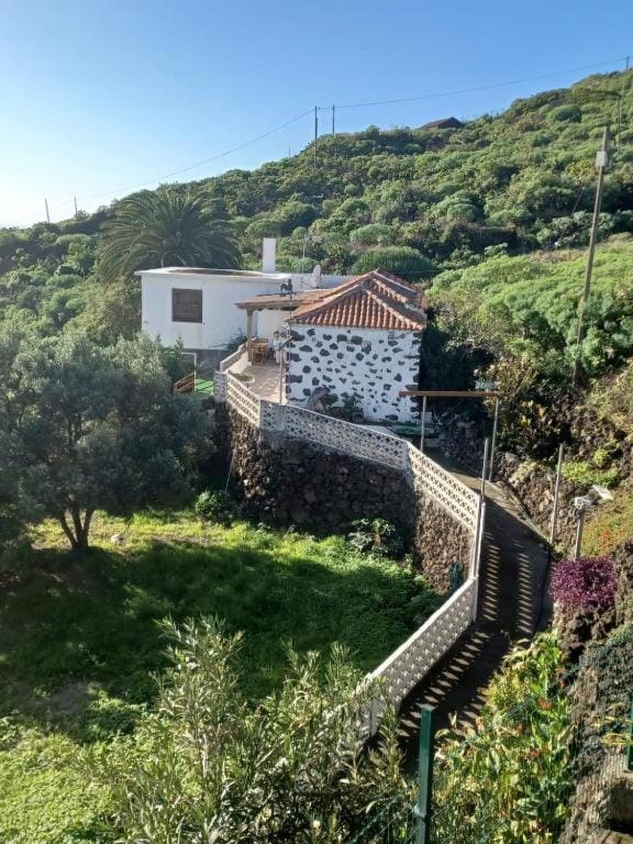 Property building, Natural landscape, Garden