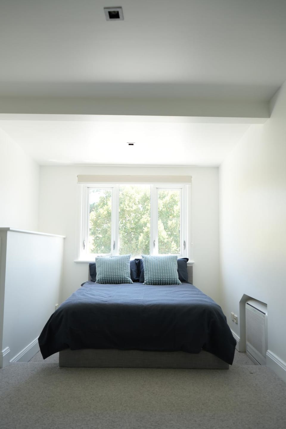 Elegant, Sunny House - 3 Bedrooms, 2 Bathrooms House in Surry Hills