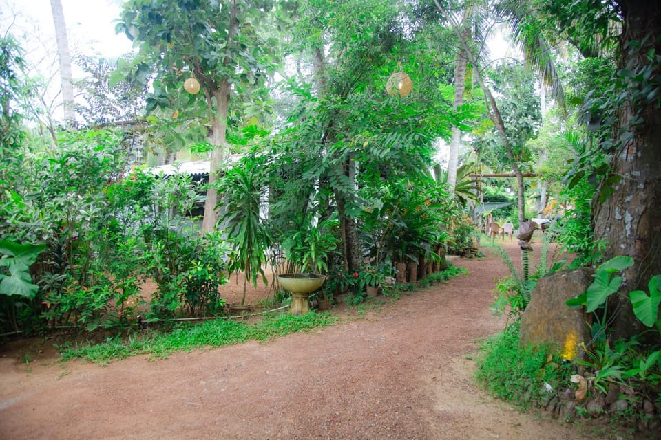 Day, Natural landscape, Garden, Garden view