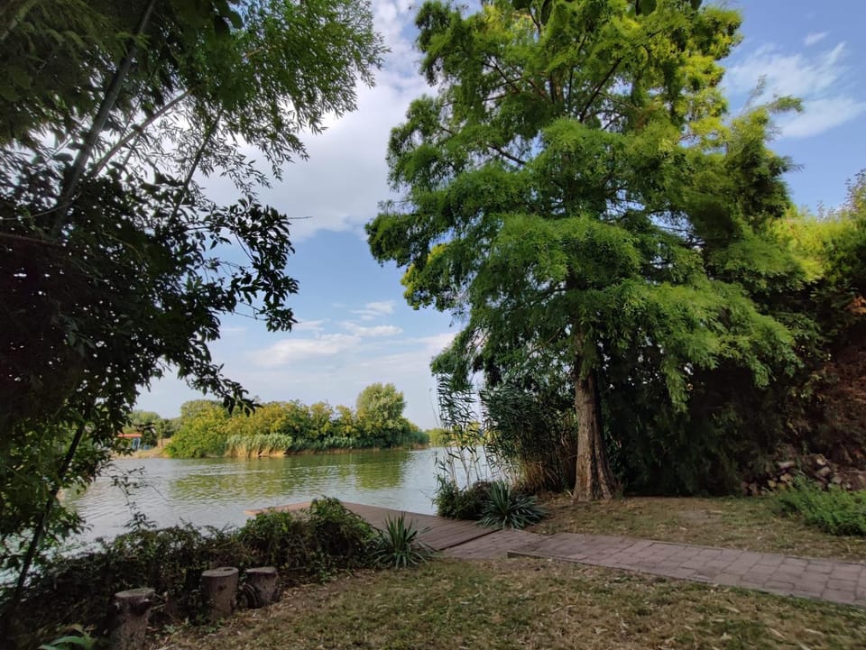 Natural landscape, River view