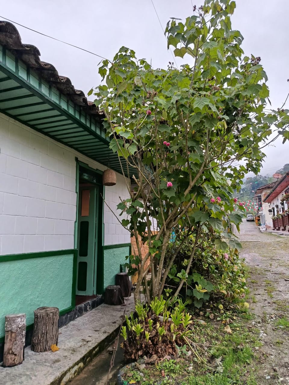 Facade/entrance