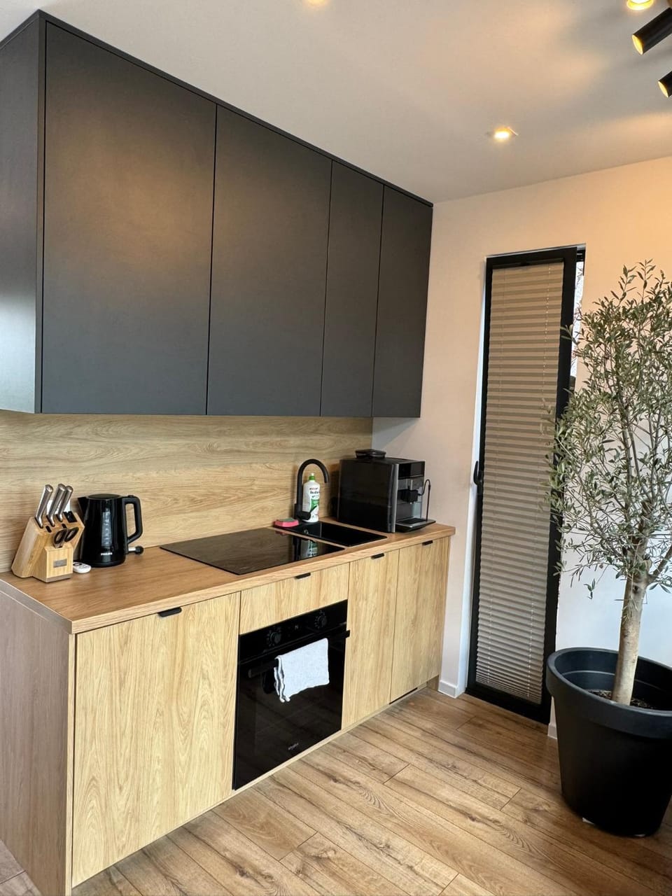 Kitchen or kitchenette, kitchen