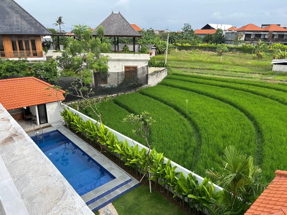 Natural landscape, Swimming pool