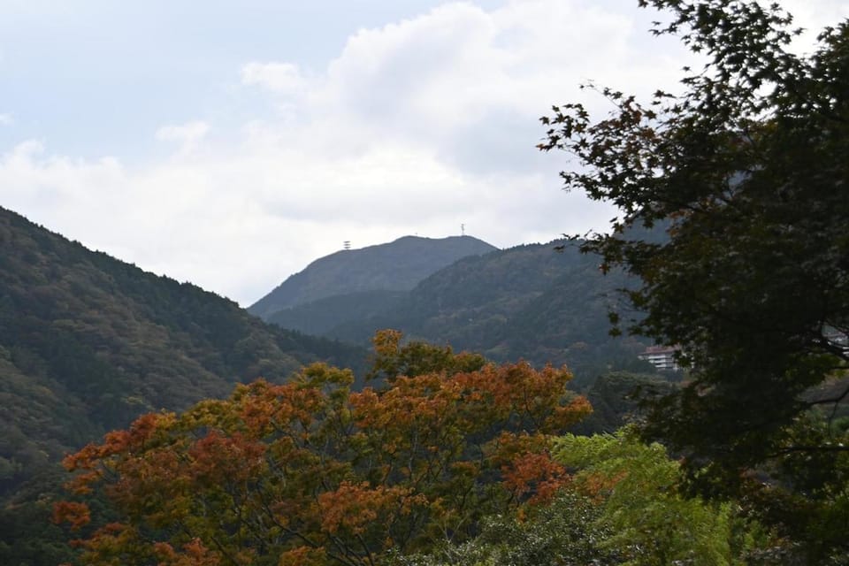 Natural landscape