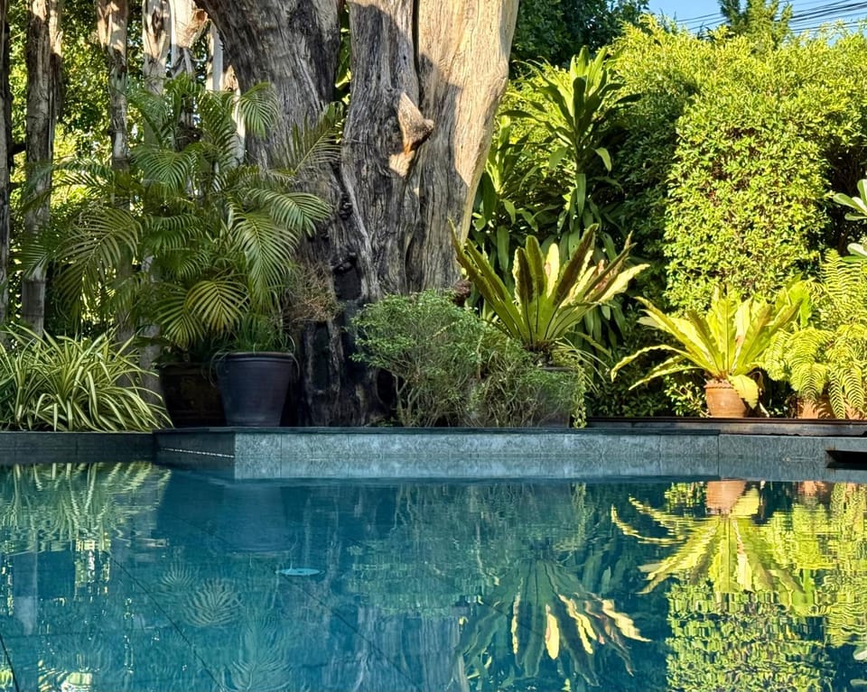 Day, Garden, Swimming pool