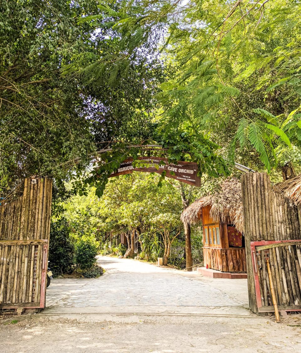 Natural landscape, Garden