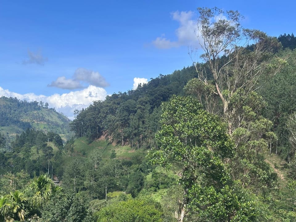 Mountain view