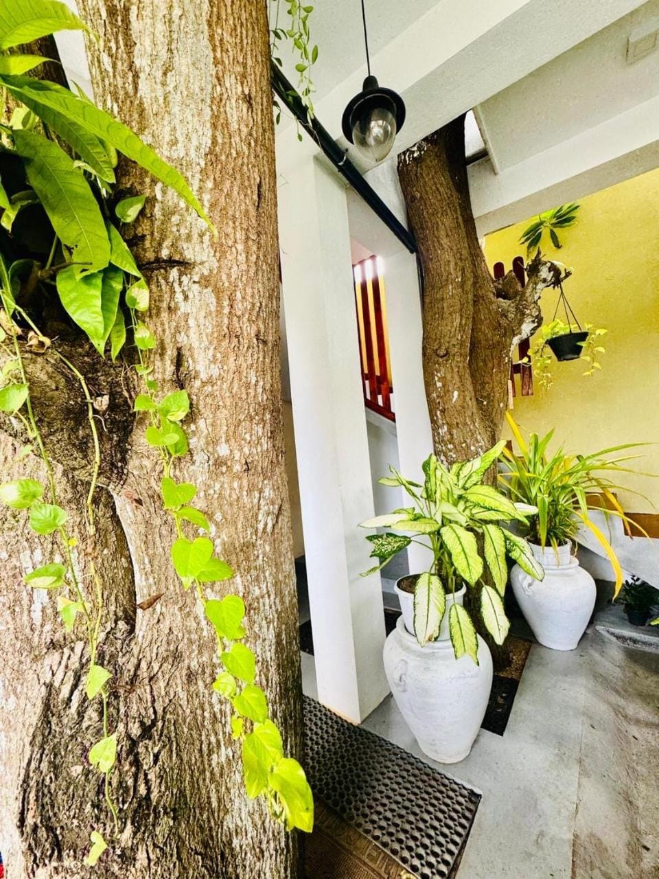 Amba Villa Residence Apartment in Negombo