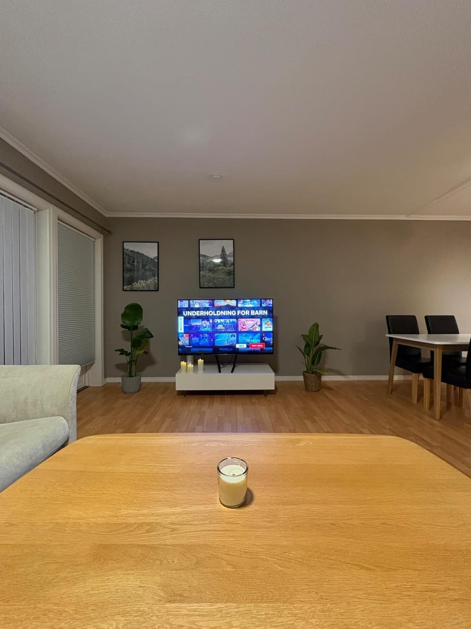 TV and multimedia