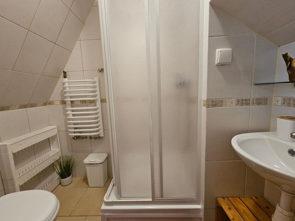 Shower, Toilet