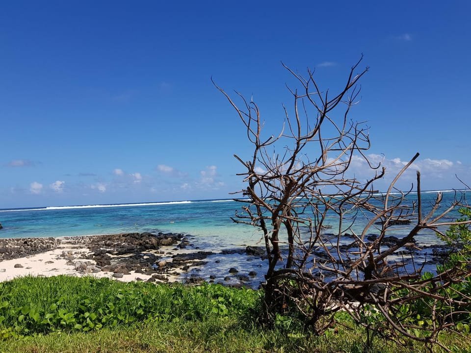 Villa Soleil D’été Bed and Breakfast in Mauritius