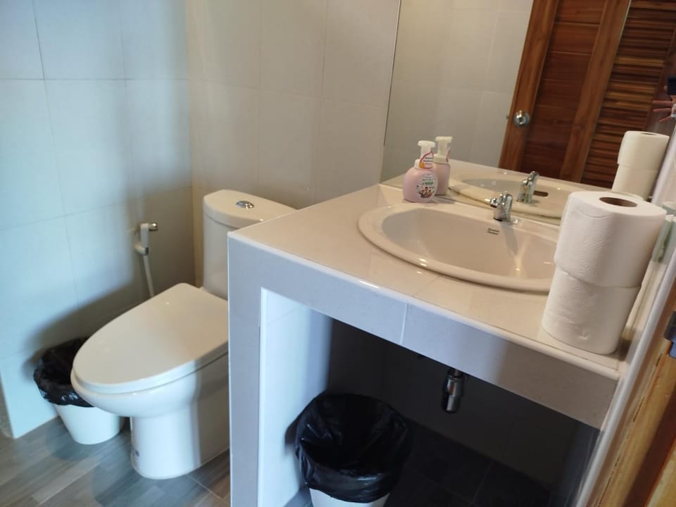 Toilet, Bathroom, bidet