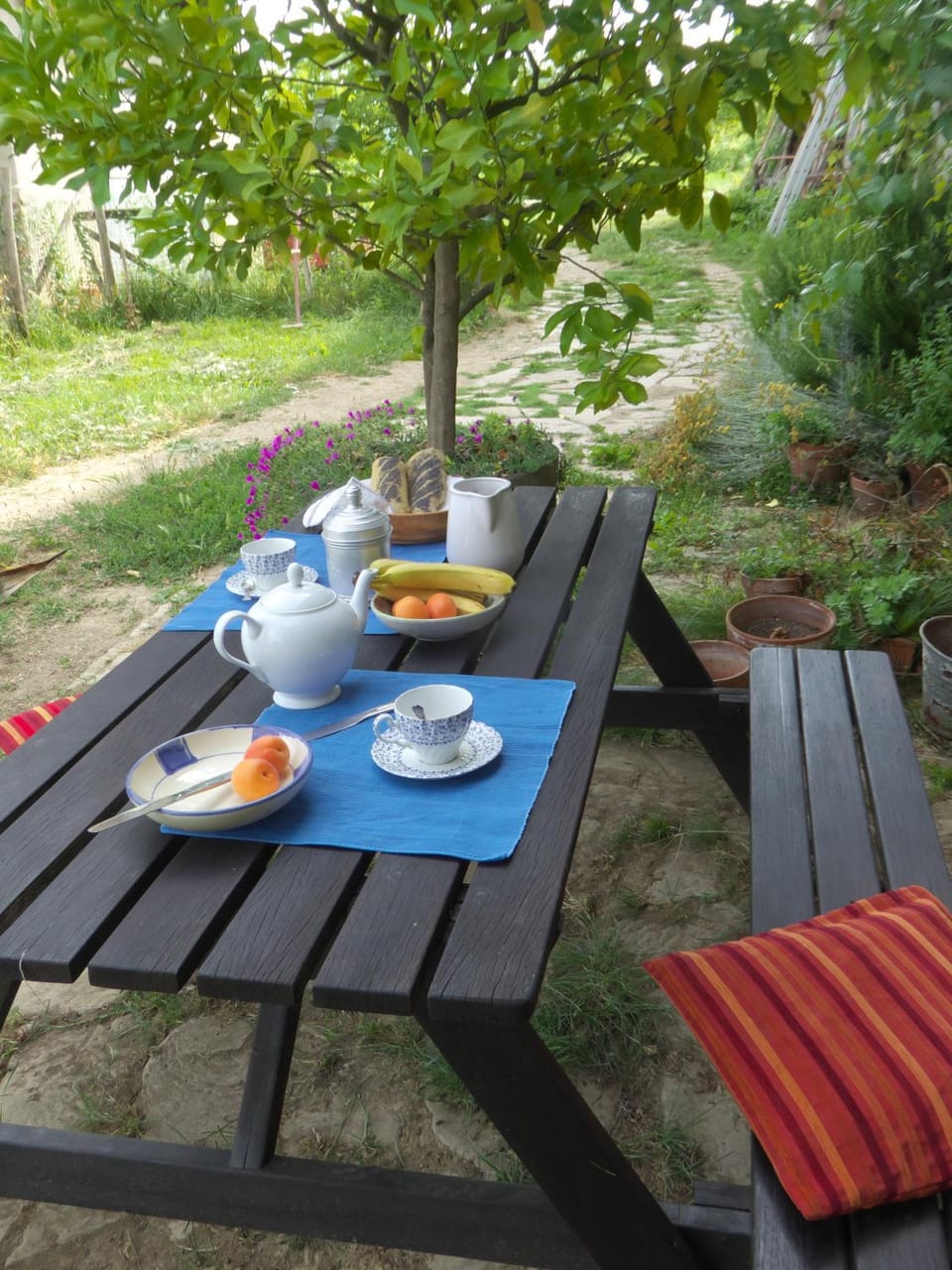 Garden, Food and drinks