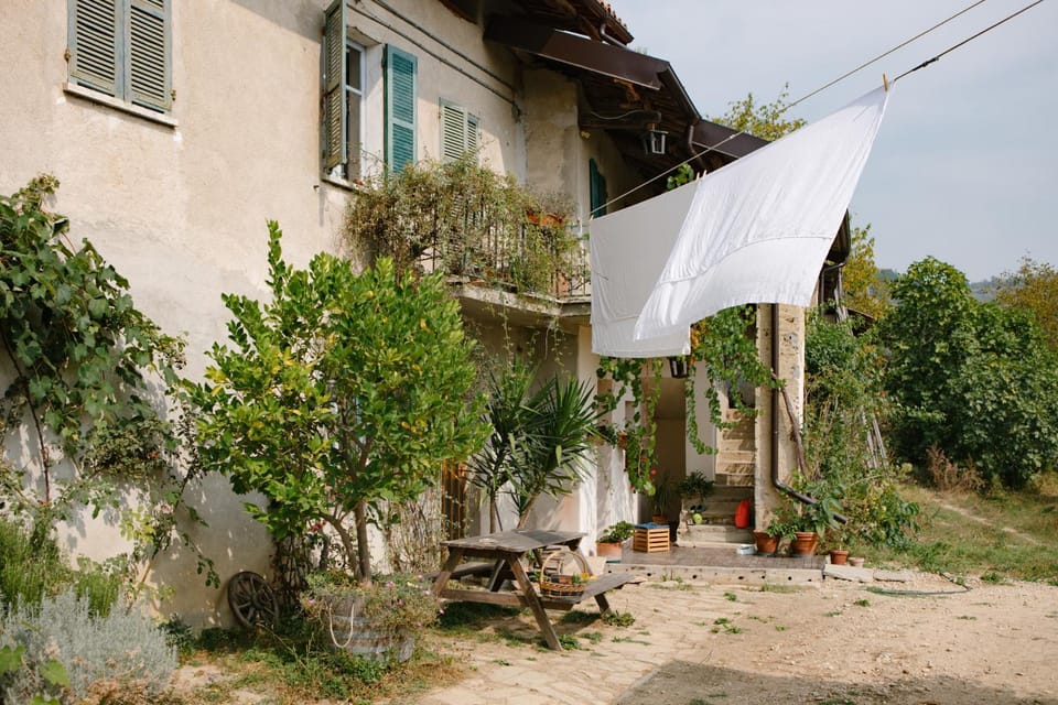 Property building, Summer, Garden view