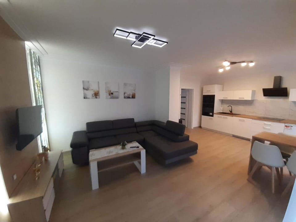 Apartament w Czarnowąsach 3 Apartment in Czechia