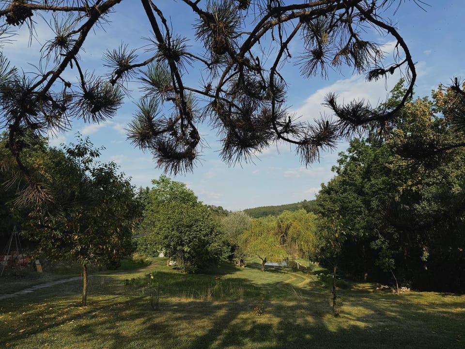 Natural landscape