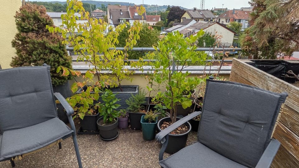 View (from property/room), Balcony/Terrace