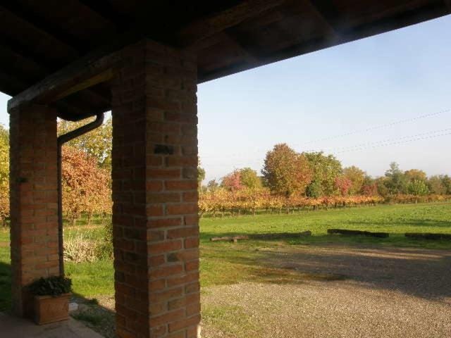 Natural landscape, Garden