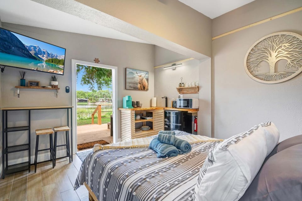 Bed, TV and multimedia, Kitchen or kitchenette, Photo of the whole room, Bedroom