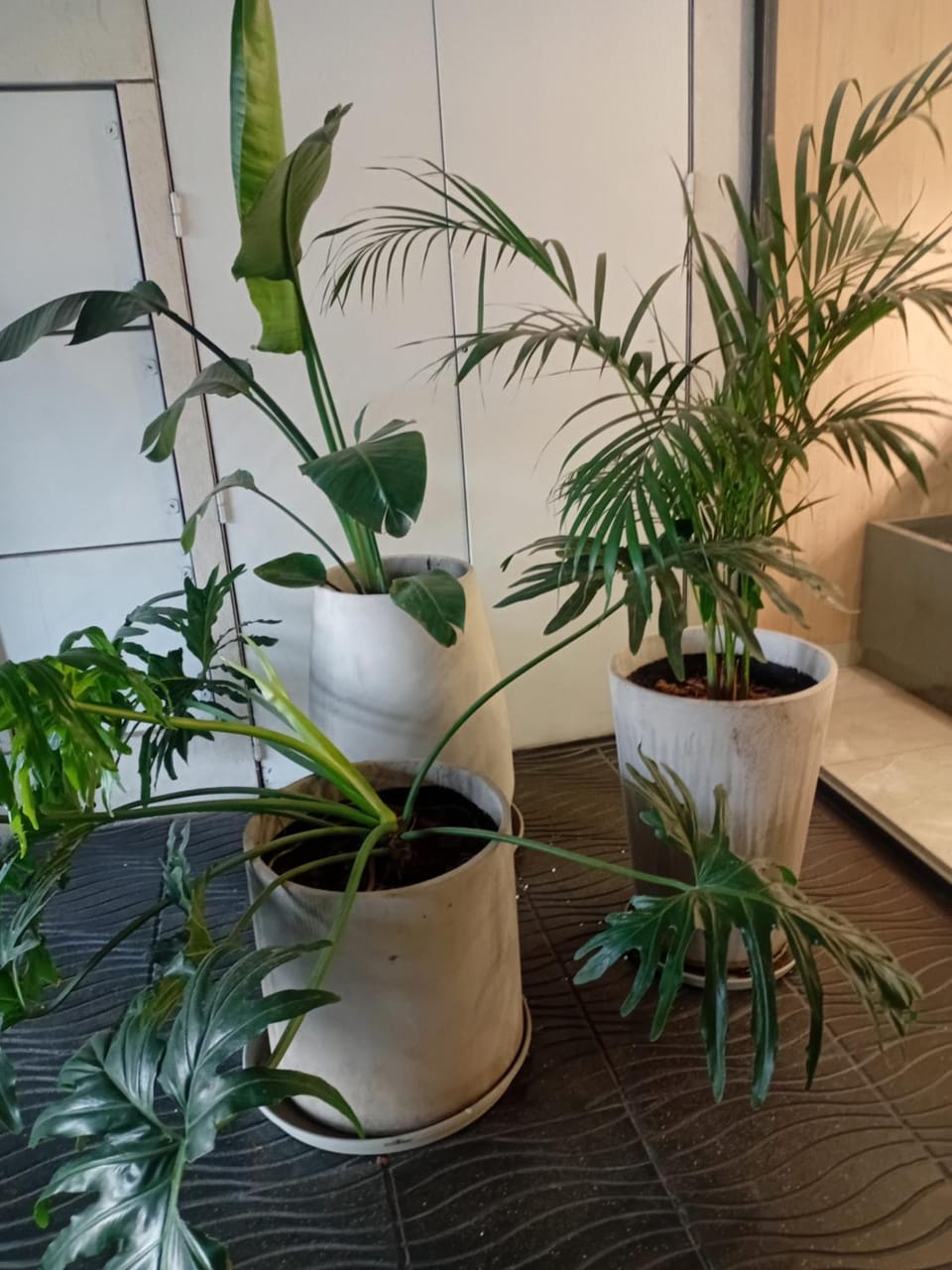 Adolma IV Apartment in Río Cuarto