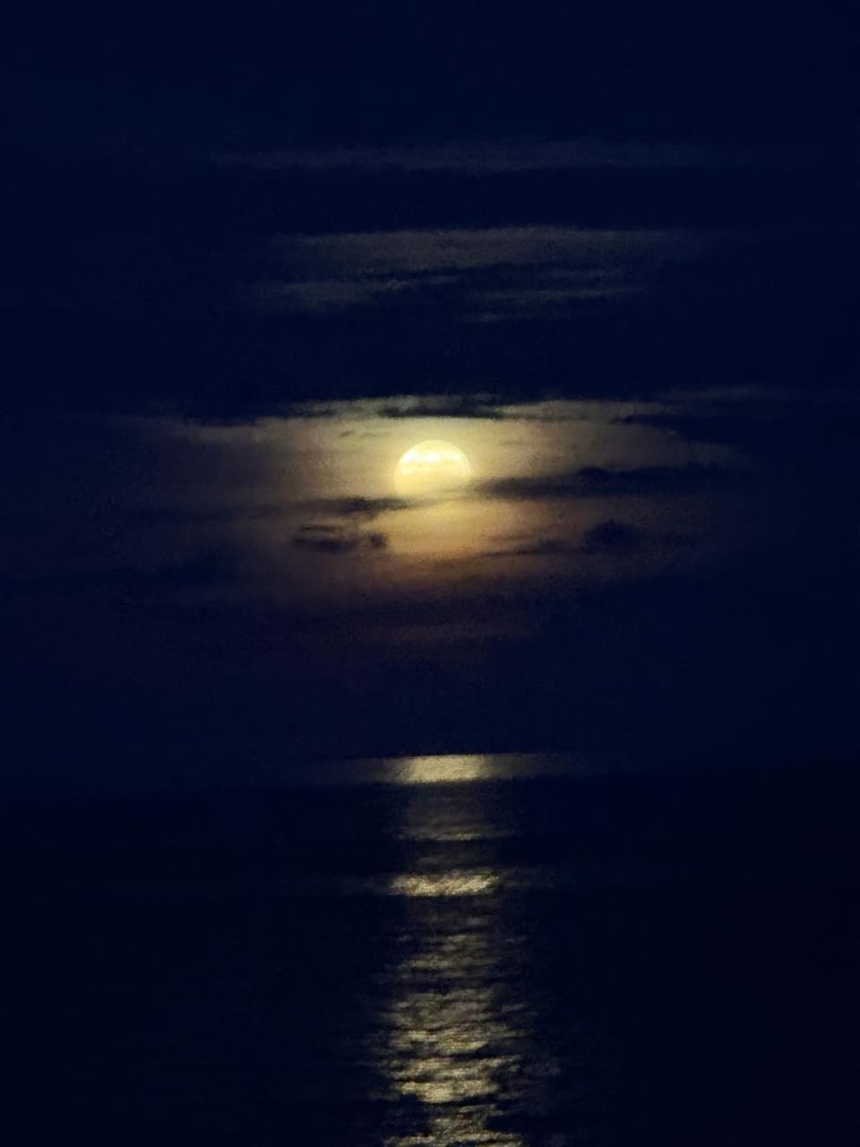 Night