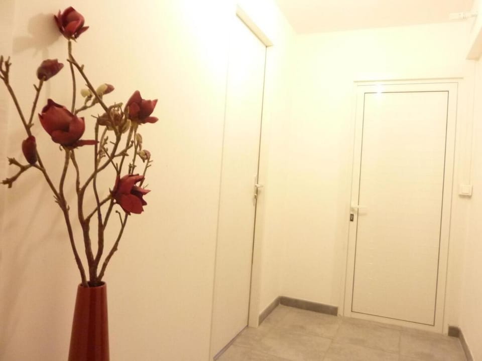 Studio meublé Centre ville Apartment in Bastia