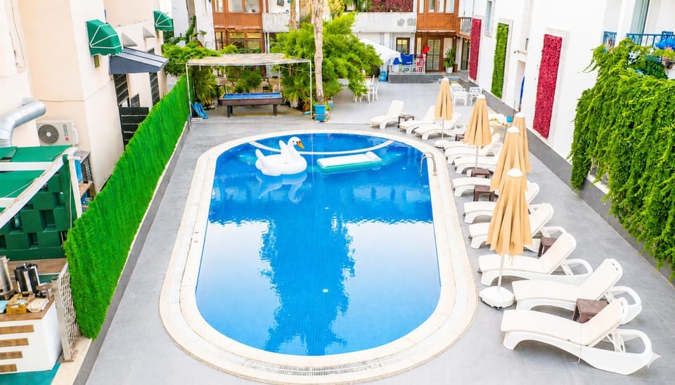 Day, Pool view, Swimming pool, sunbed