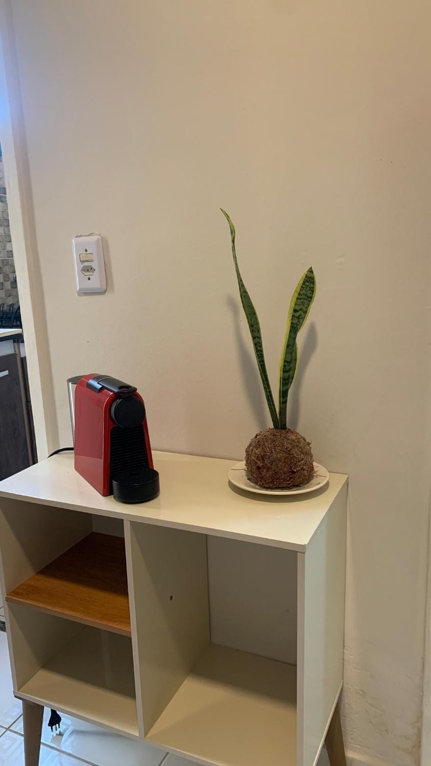 Flat 307 Dr Quirino Apartment in Campinas