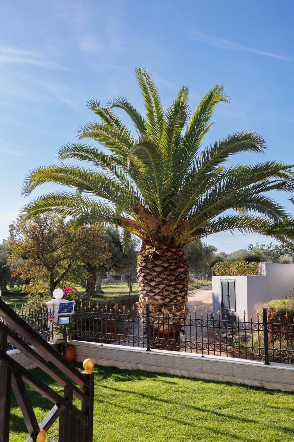 Natural landscape, Garden, Garden view