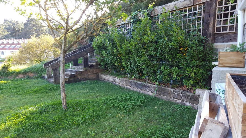Day, Garden
