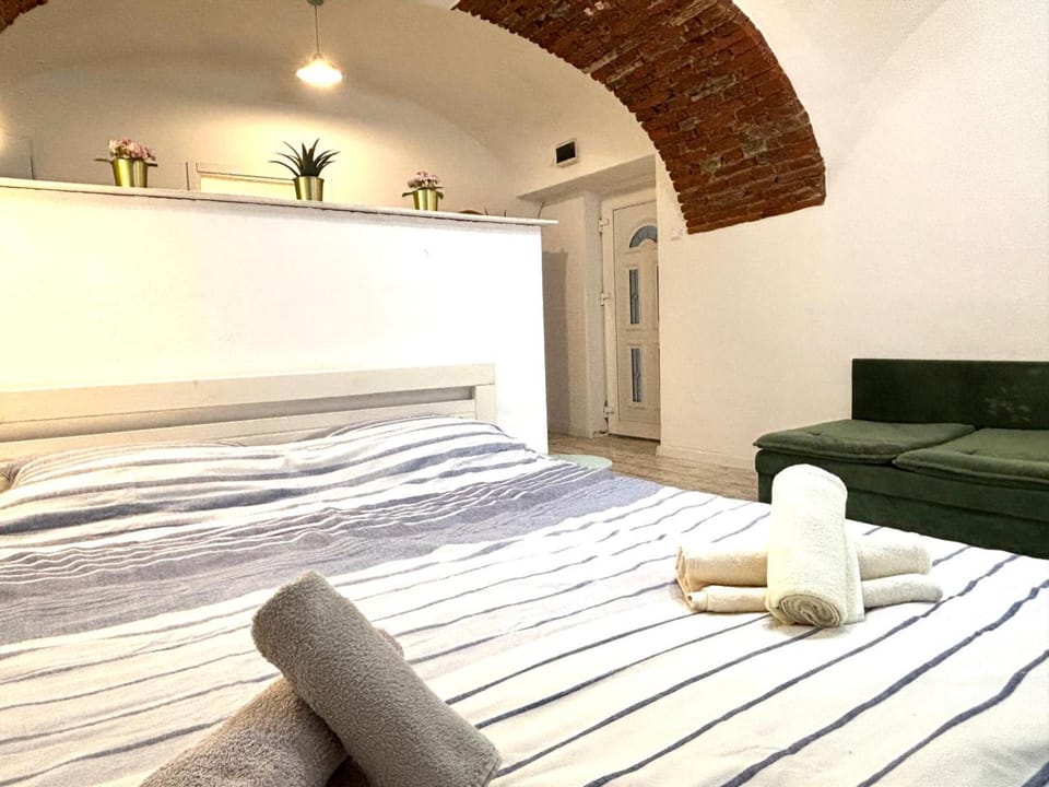 Roxen Central Studio Sibiu Apartment in Sibiu