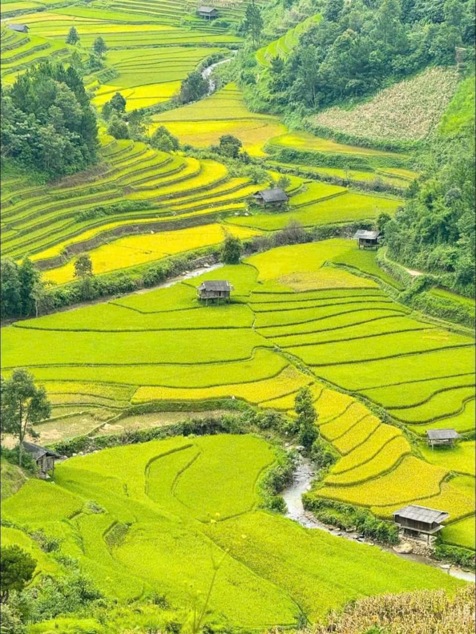 La Pan Tan Eco Lodge - Mu Cang Chai Nature lodge in Vietnam