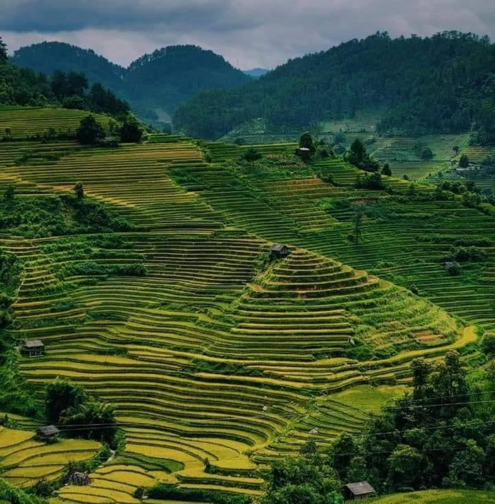 La Pan Tan Eco Lodge - Mu Cang Chai Nature lodge in Vietnam