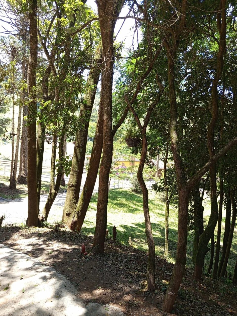 Cabana Forest Montana- Gonçalves MG Chalet in State of São Paulo