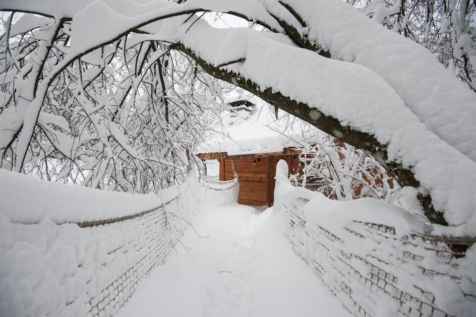 Natural landscape, Winter