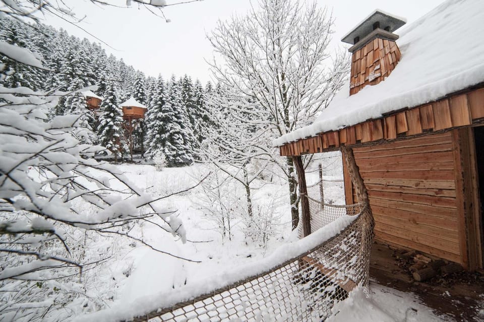 Property building, Natural landscape