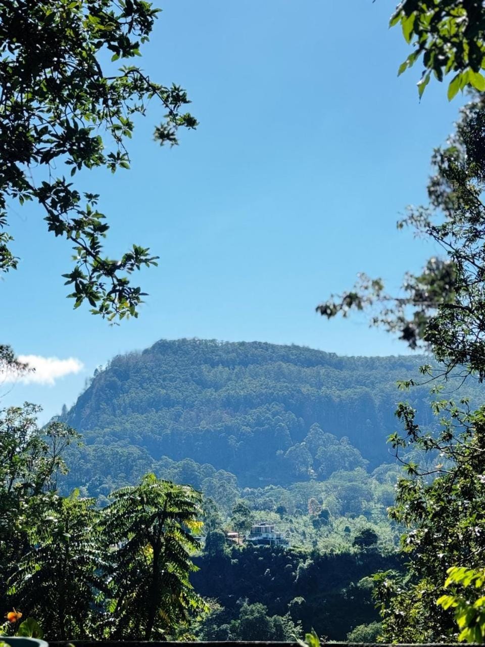 Mountain view