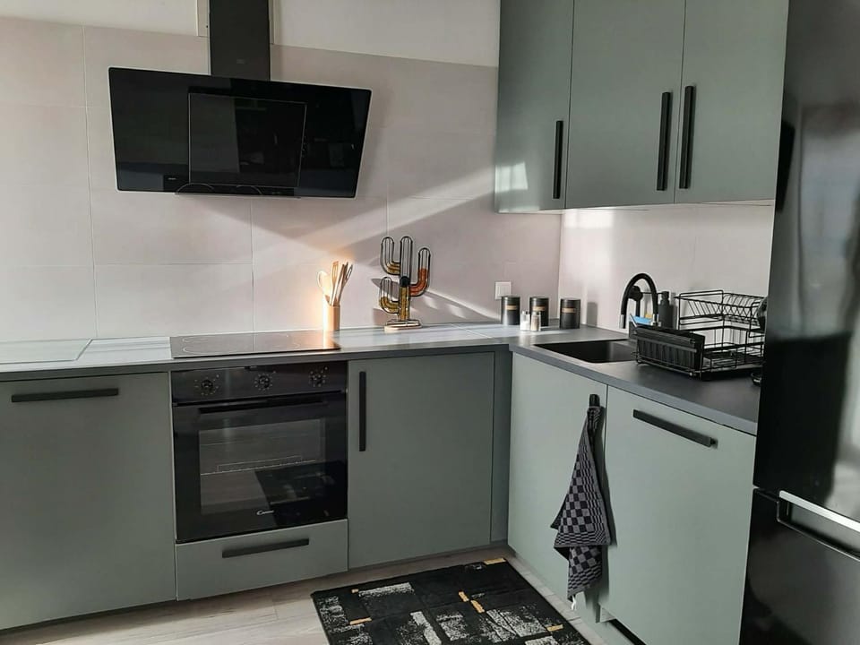 Kitchen or kitchenette, dishwasher, oven, stove