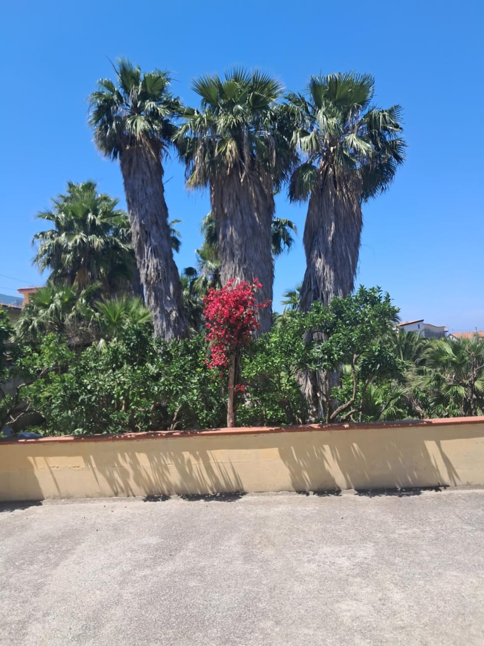 Le Palme House Apartment in Campania
