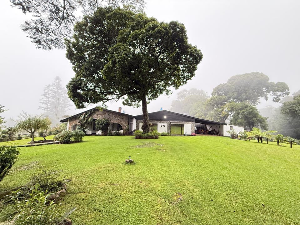 Property building, Spring, Day, Natural landscape, Garden, Garden view