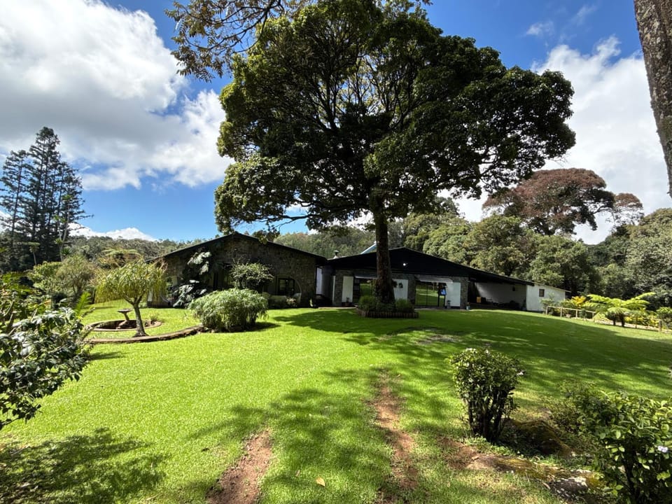 Property building, Day, Natural landscape, Garden, Garden view