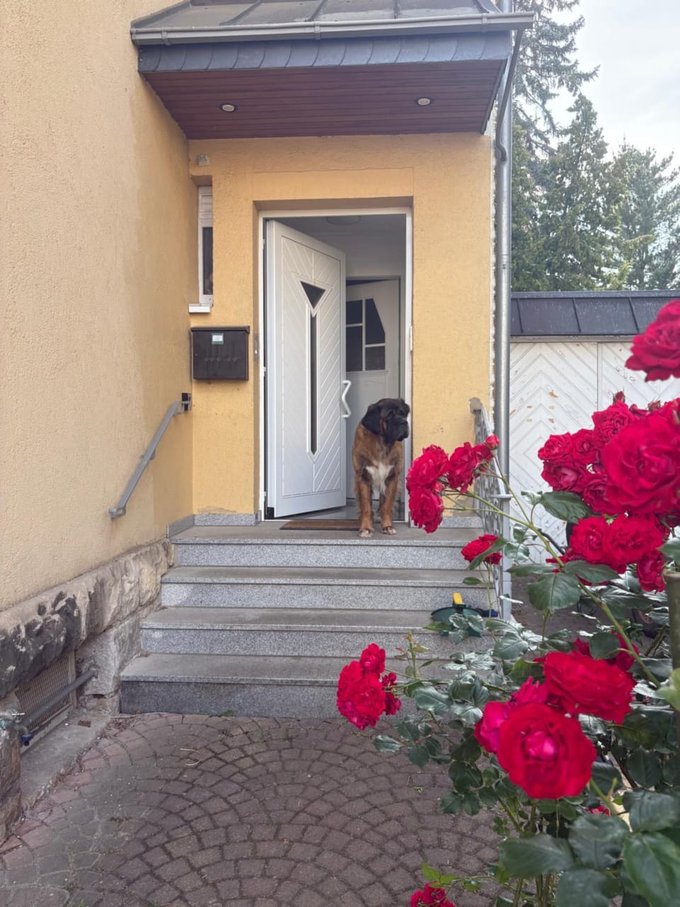 Facade/entrance