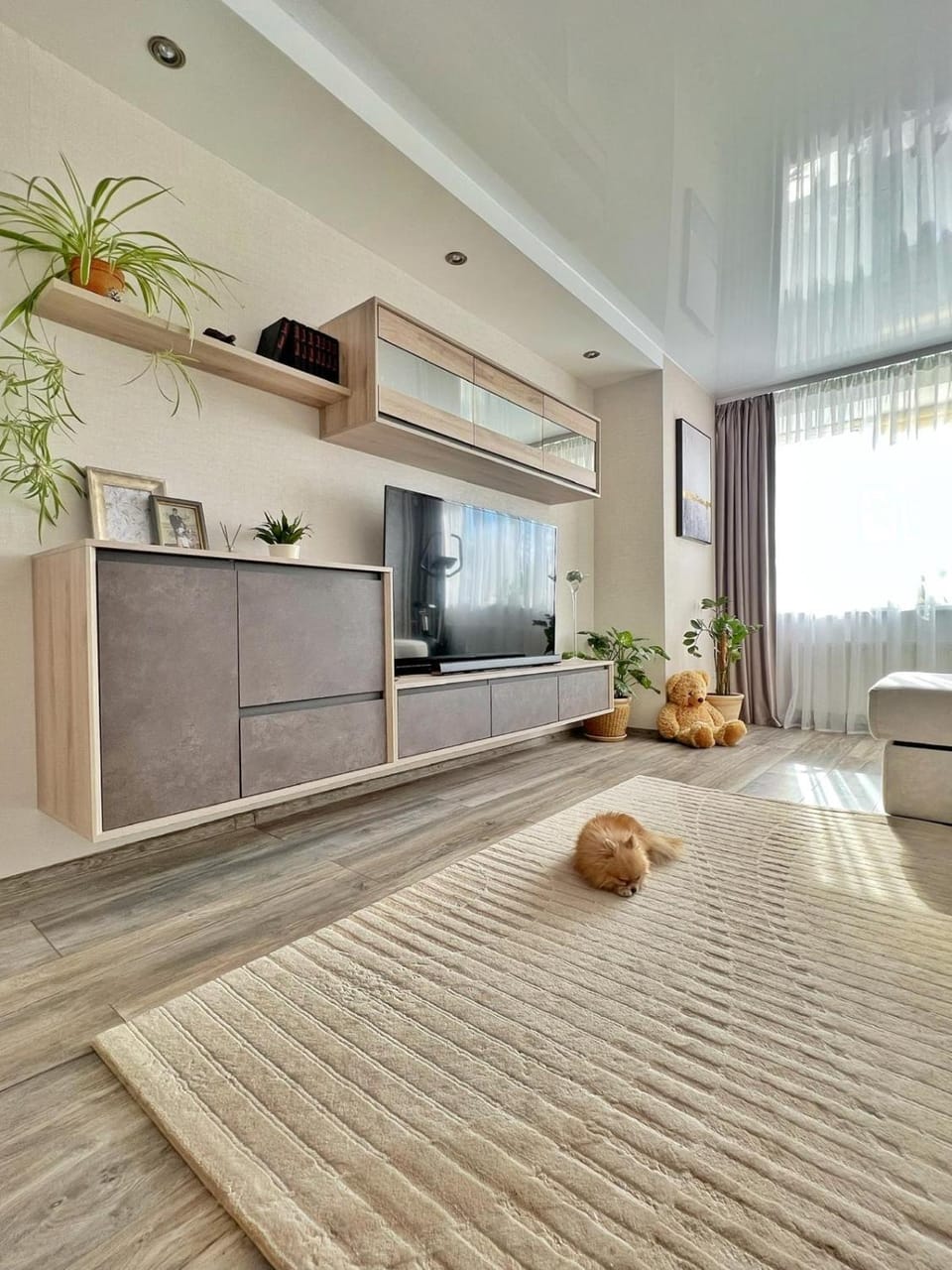 TV and multimedia, Seating area, pet friendly