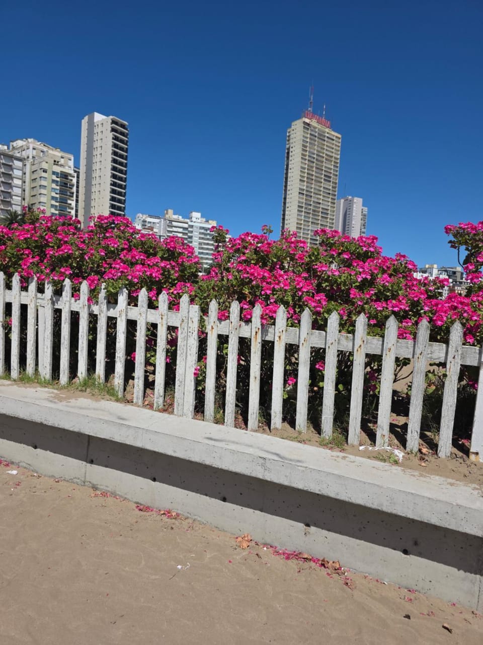 Mardel Apartment in Mar del Plata