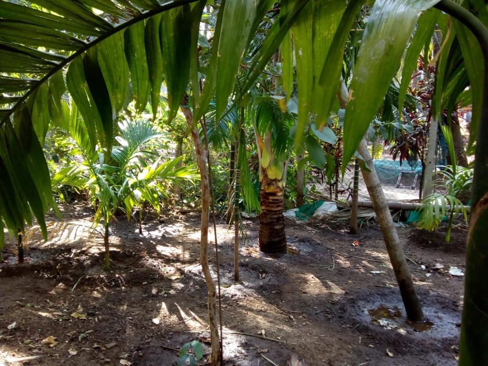 Garden, Garden view