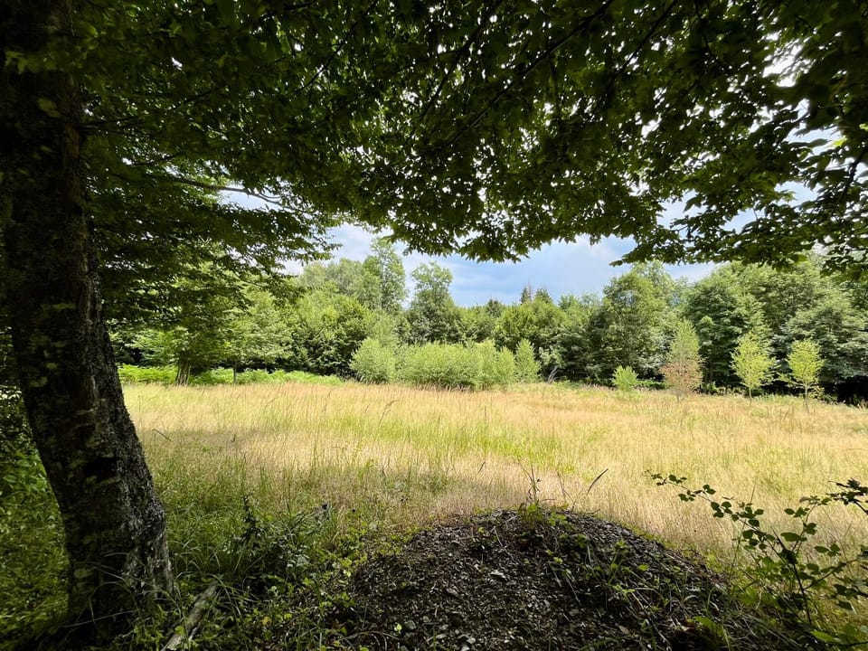 Natural landscape