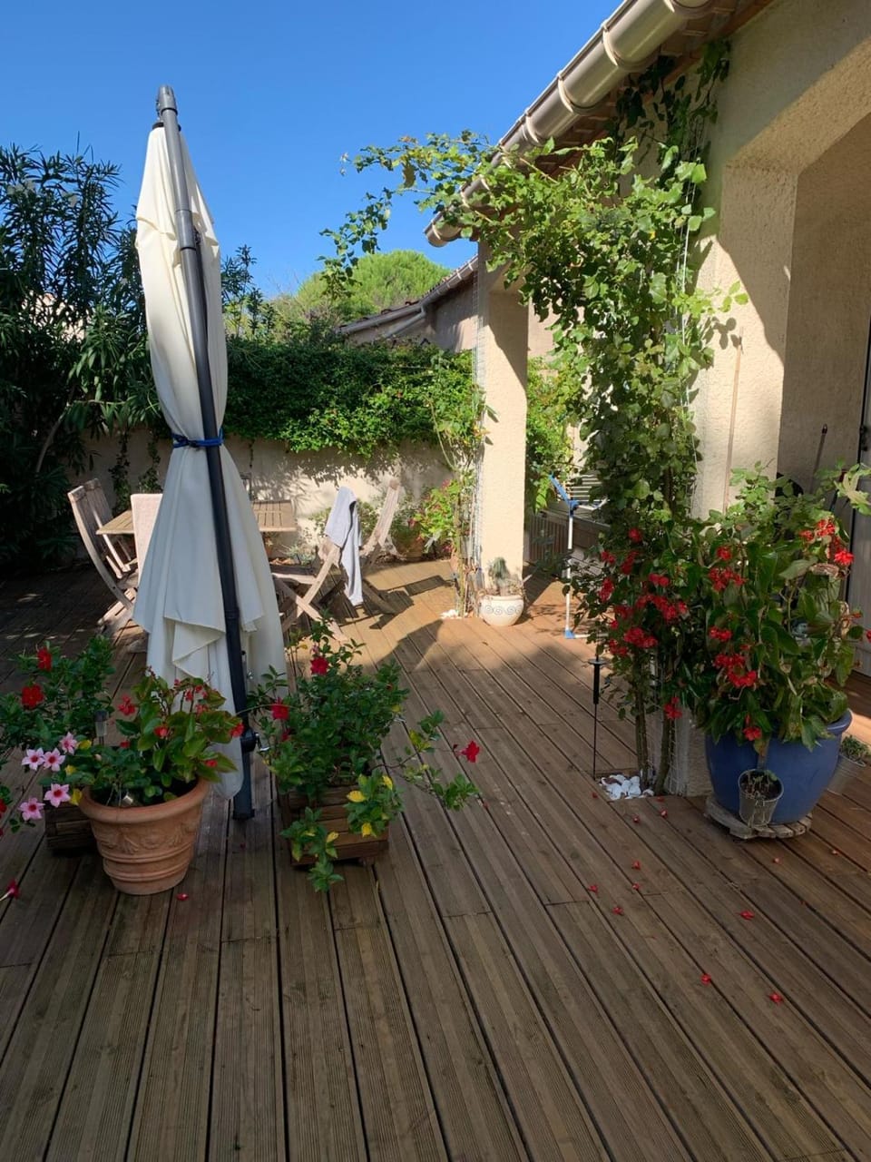 Garden, Balcony/Terrace