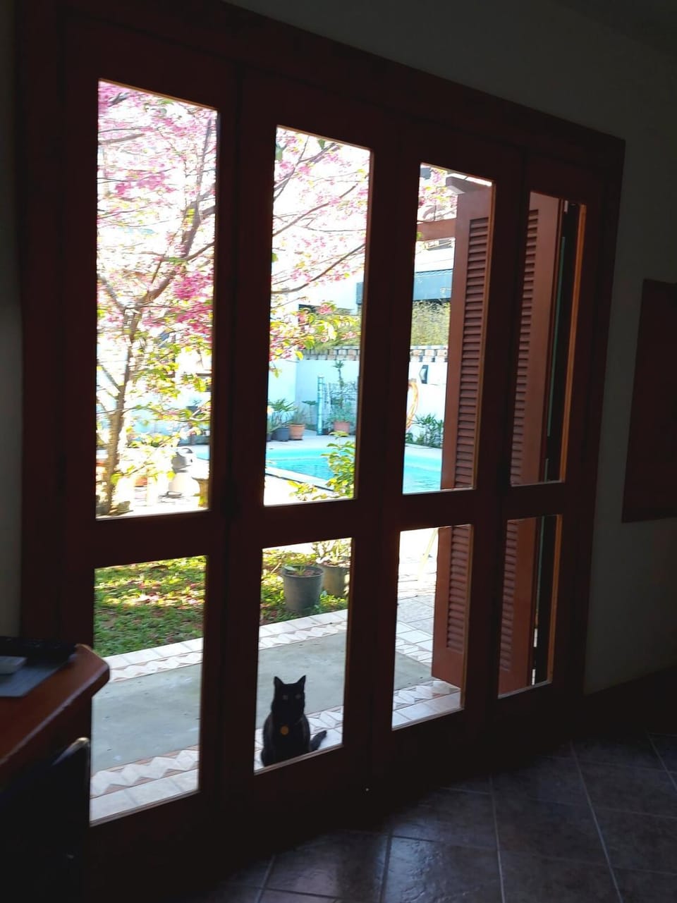 View (from property/room), Pets, Garden view