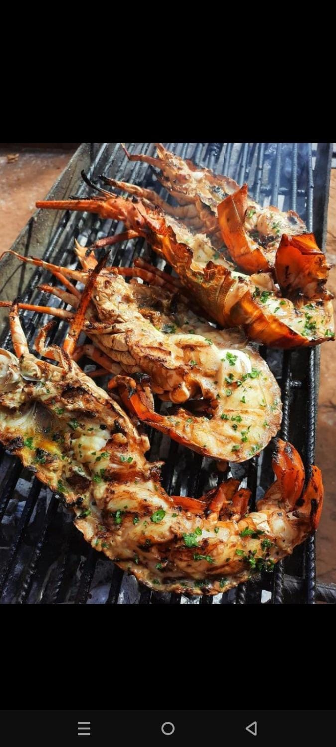 PiNkeY 19 seafood restaurant Campground/ 
RV Resort in Diani Beach